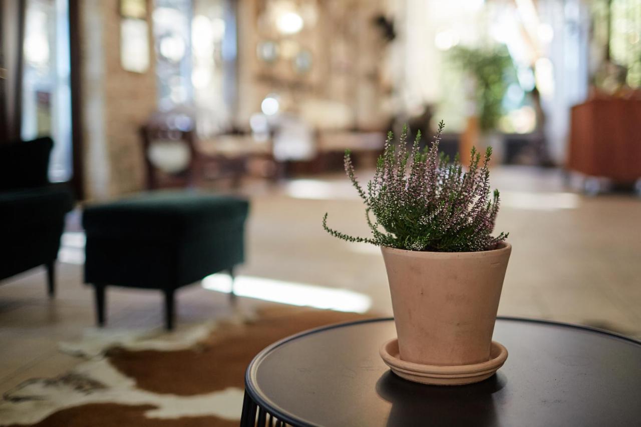Bed & Breakfast Tercia Hubertus Panzio Sopron